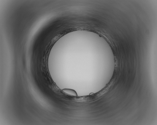 X0000110930430200906181159