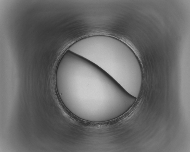 X0000110930433200906181159
