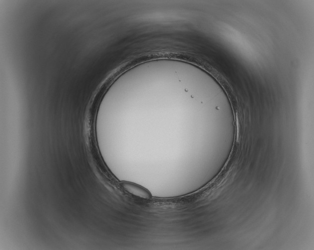 X0000110930435200906181159