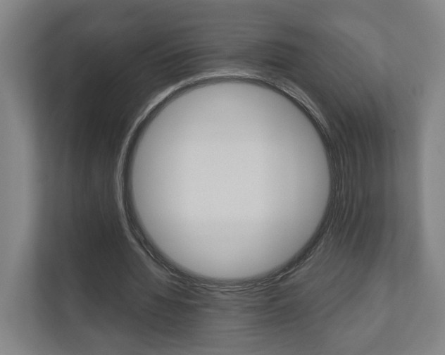 X0000110930436200906181159