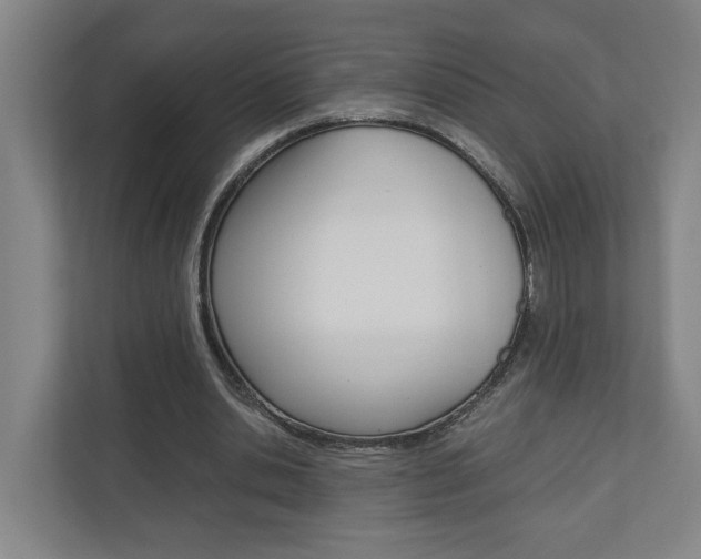 X0000110930438200906181159