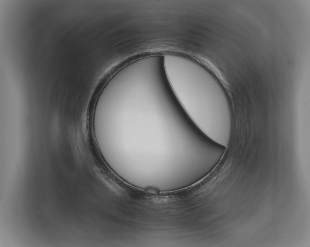 X0000110930439200906181159