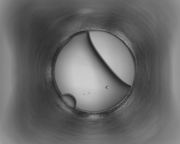 X0000110930441200906181159