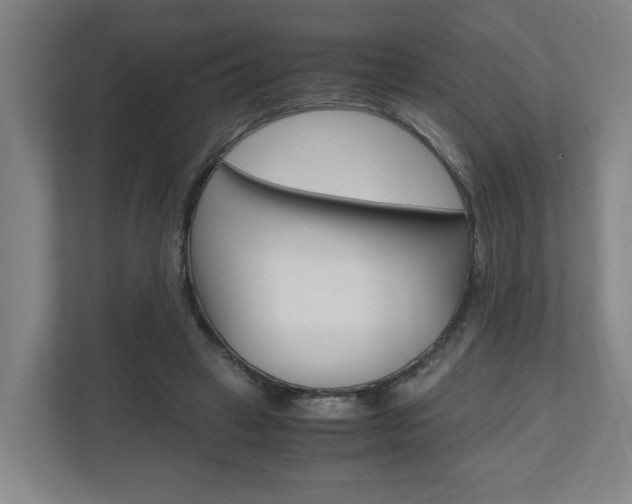 X0000110930449200906181159