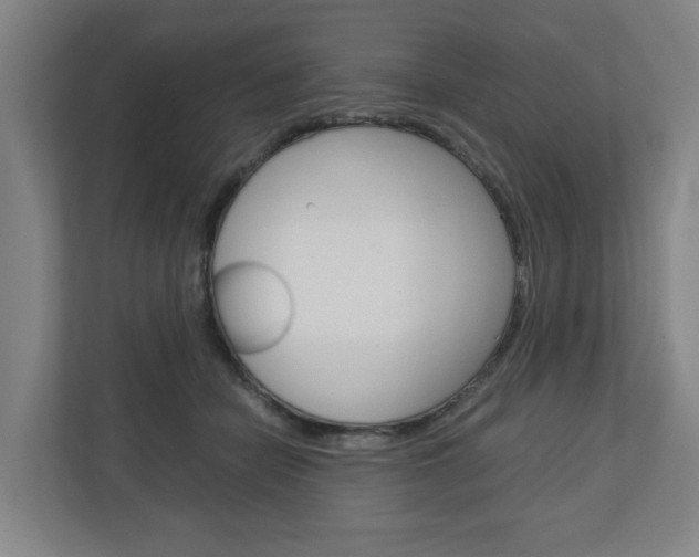 X0000110930462200906181159