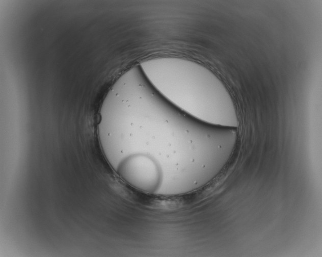 X0000110930466200906181159
