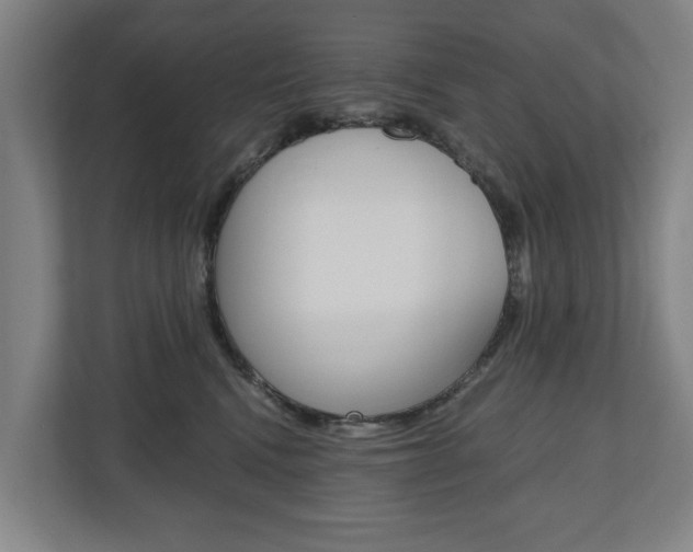 X0000110930472200906181159