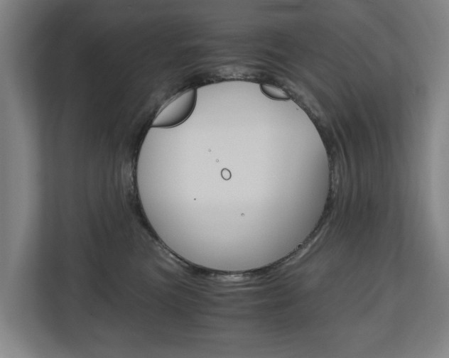 X0000110930473200906181159