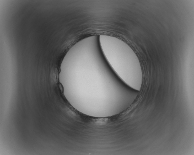 X0000110930474200906181159