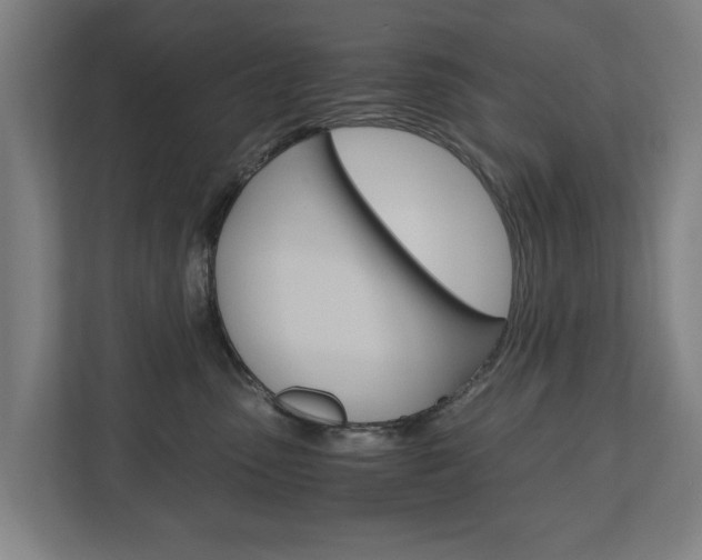 X0000110930475200906181159