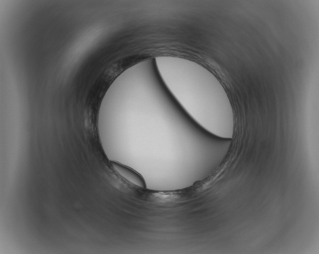 X0000110930477200906181159