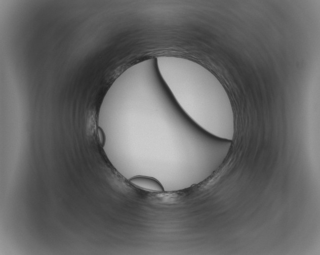 X0000110930478200906181159