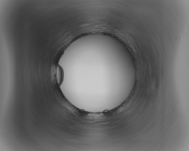 X0000110930480200906181159