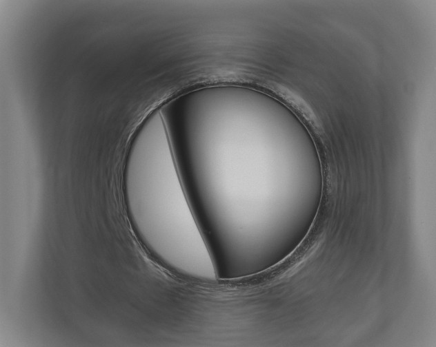 X0000110930481200906181159