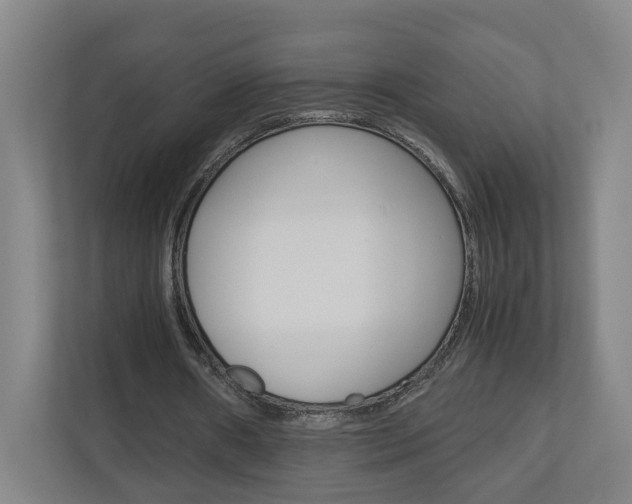 X0000110930482200906181159