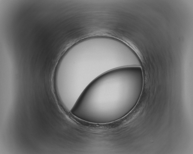 X0000110930485200906181159