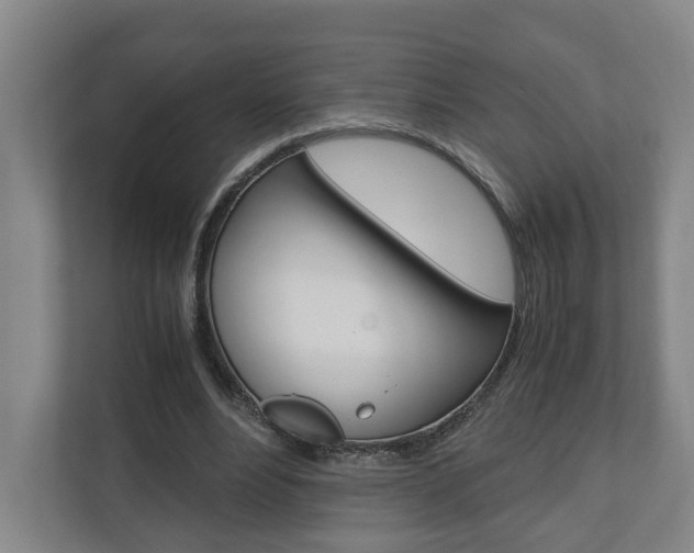 X0000110930488200906181159
