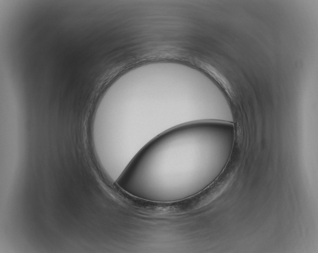 X0000110930493200906181158