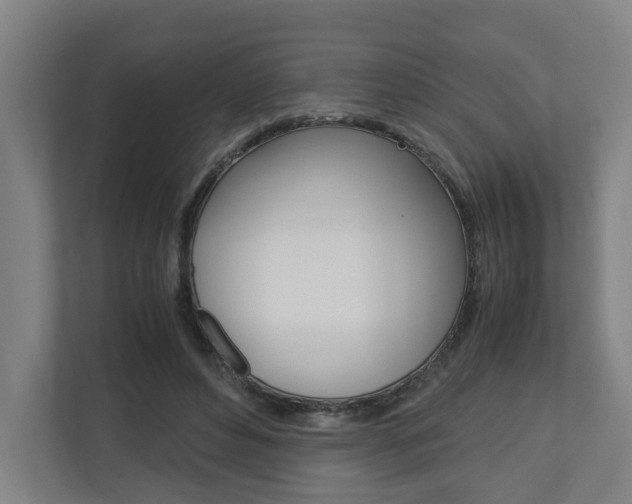 X0000110930496200906181158