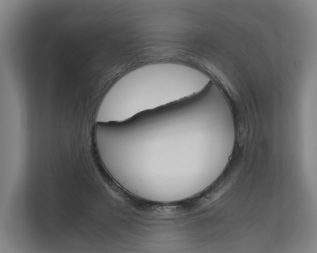 X0000110930497200906181158