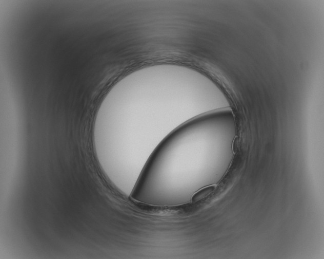 X0000110930501200906181158
