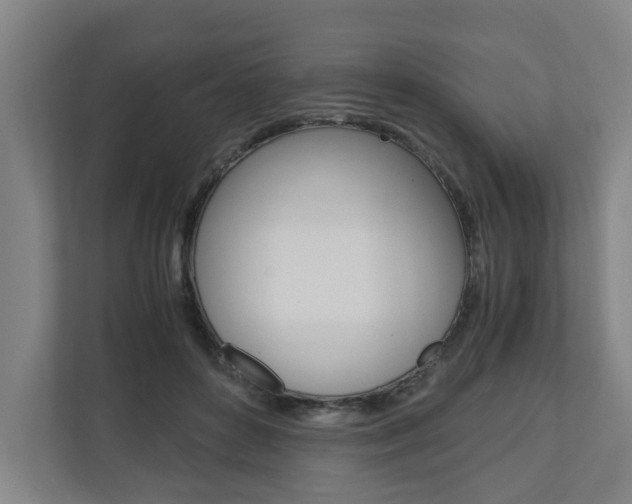 X0000110930504200906181158