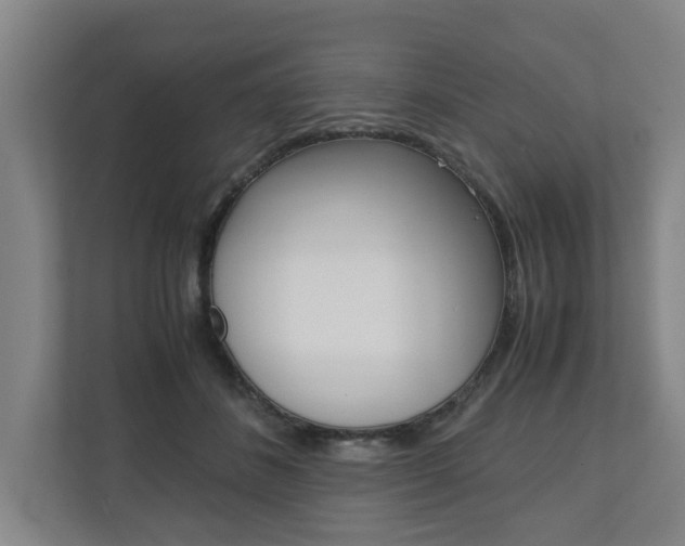 X0000110930508200906181158