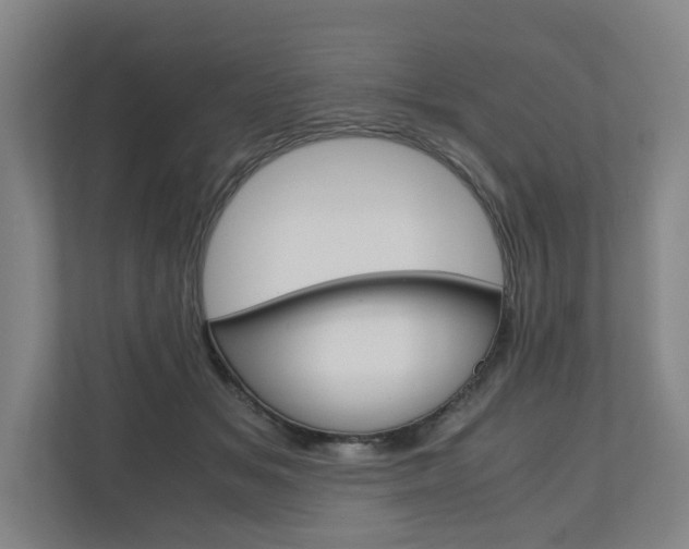 X0000110930509200906181158