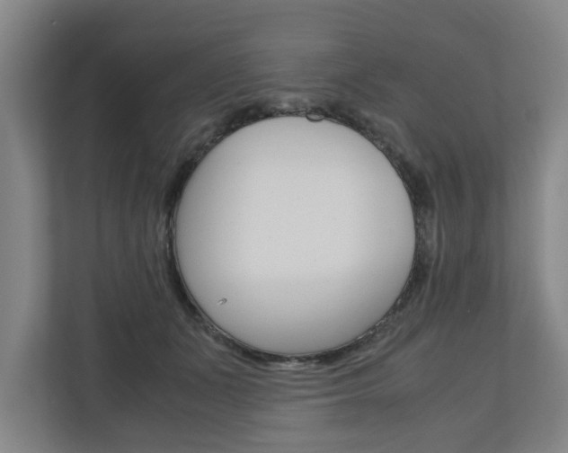 X0000110930511200906181158