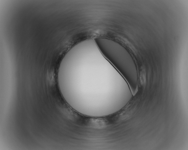 X0000110930520200906181158