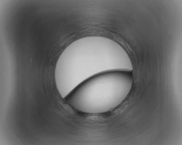 X0000110930521200906181158
