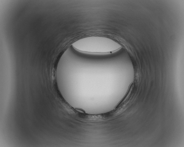 X0000110930525200906181158