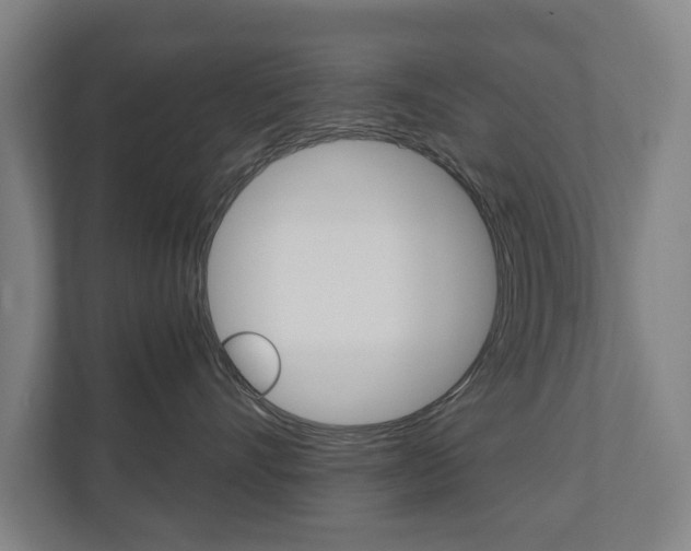 X0000110930528200906181158