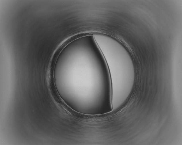 X0000110930532200906181157