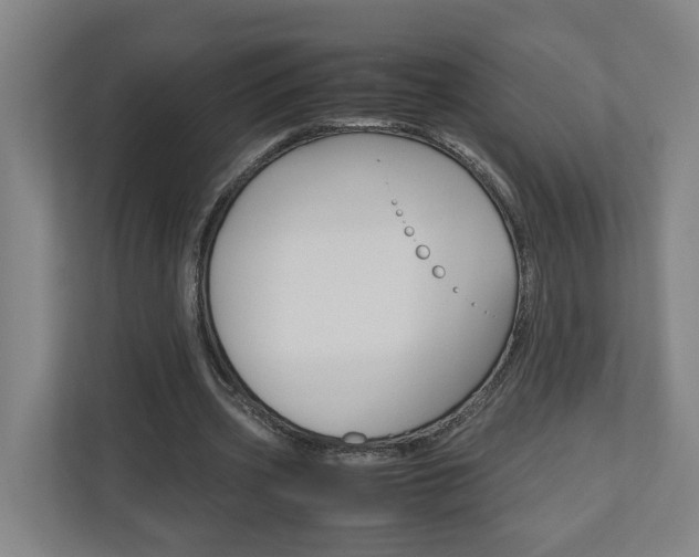 X0000110930533200906181157