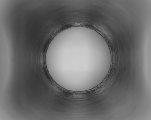 X0000110930545200906181158