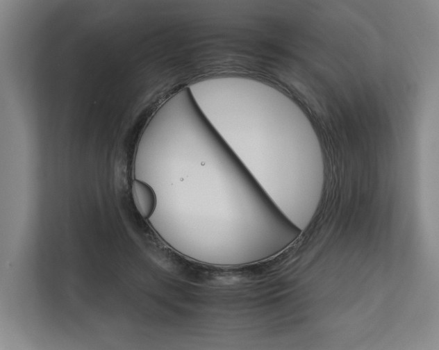 X0000110930547200906181158