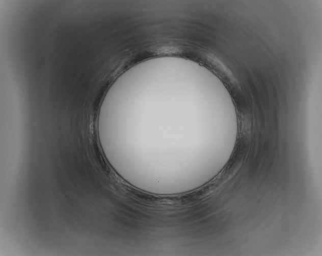 X0000110930549200906181158