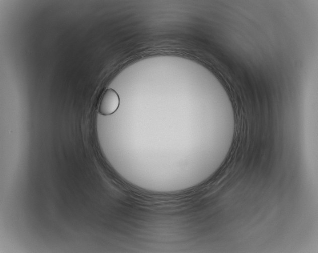 X0000110930552200906181158