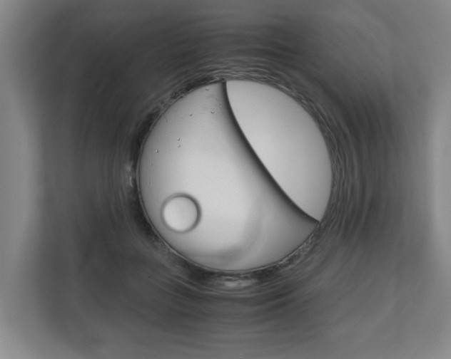 X0000110930555200906181158