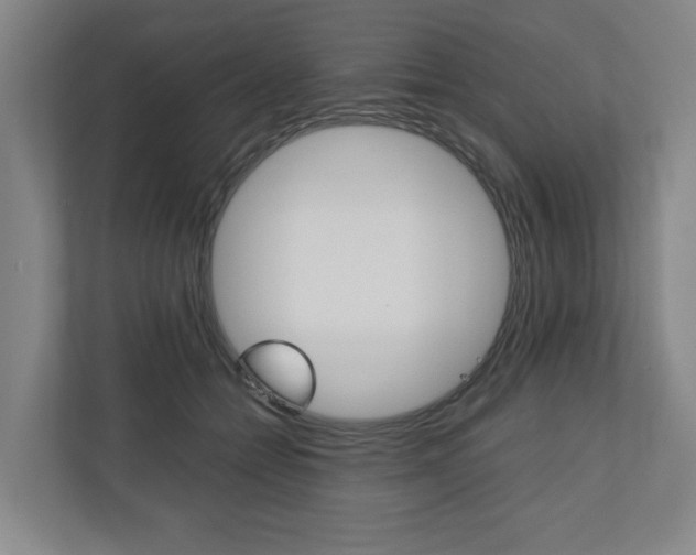 X0000110930558200906181158