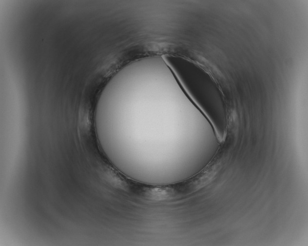 X0000110930566200906181158