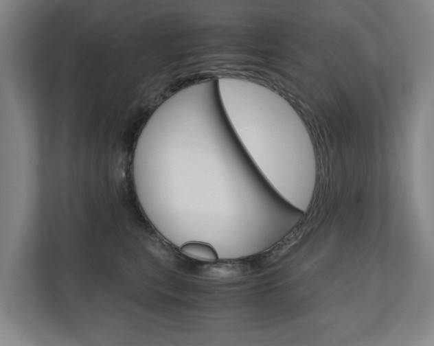 X0000110930567200906181158