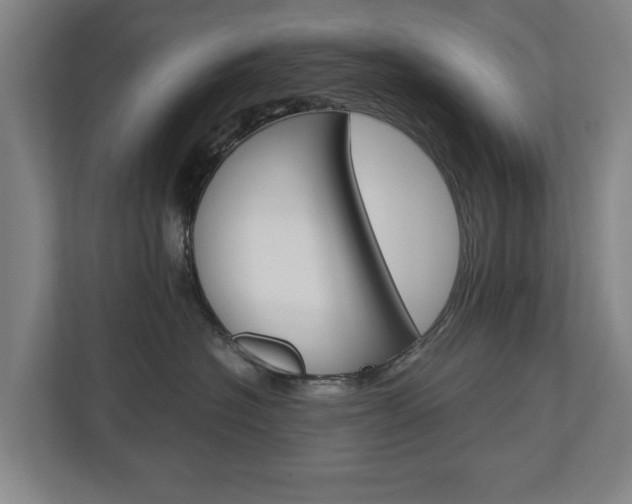 X0000110930574200906181158