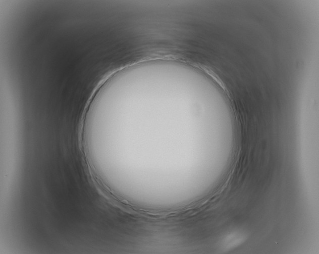X0000110930579200906181157