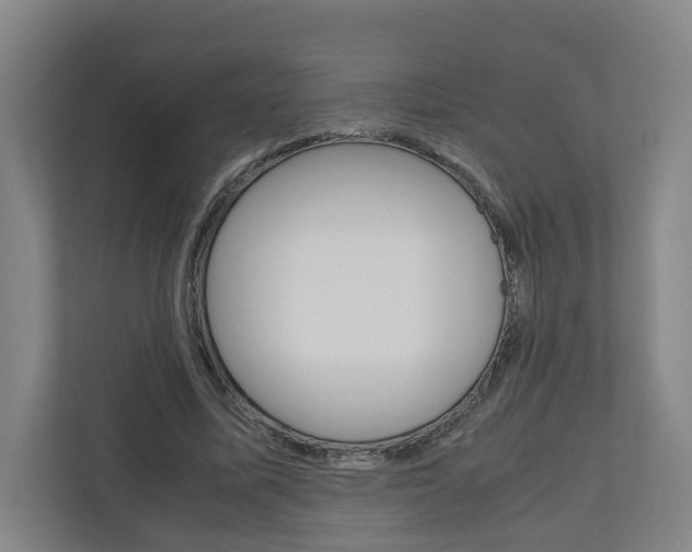 X0000110930587200906181157