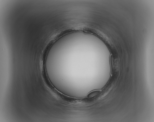 X0000110930589200906181157