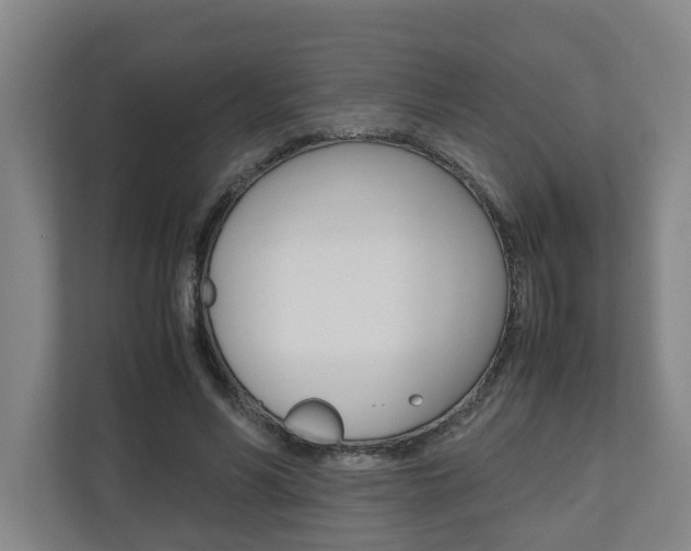 X0000110930590200906181157