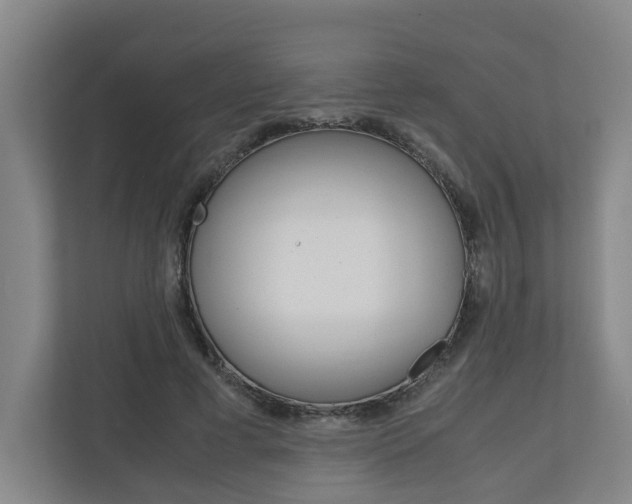 X0000110930593200906181157