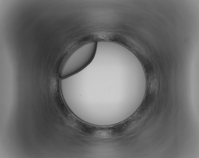 X0000110930595200906181157